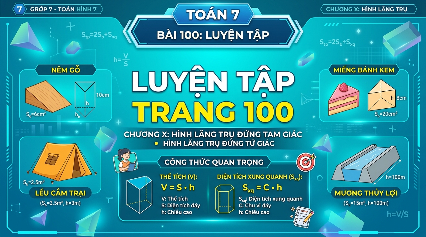 Luyện tập trang 100