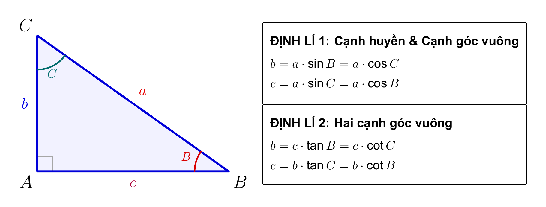 Định lí 1 và Định lí 2 trong tam giác vuông