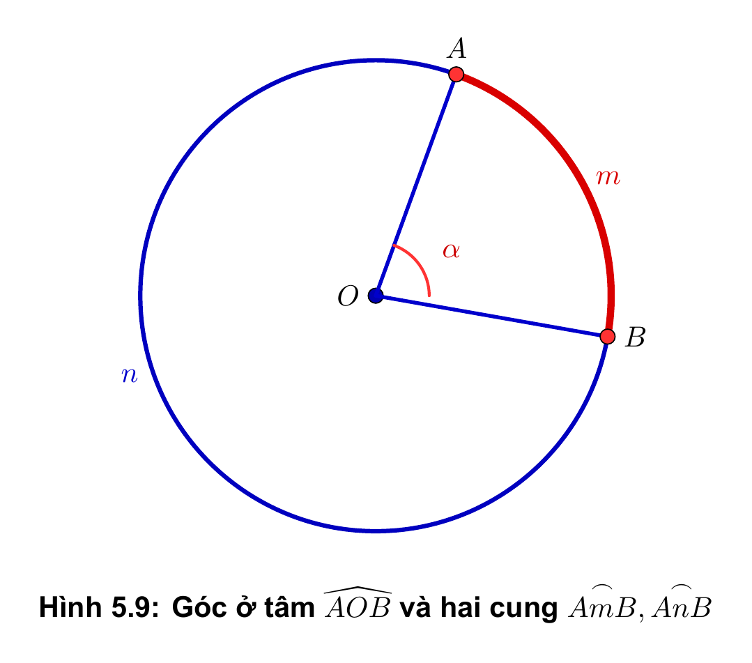 Hình 5.9: Góc ở tâm và cung